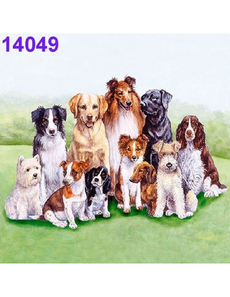 Servilletas Decoupage Perros 33x33cm 20 Uds diferentes razas