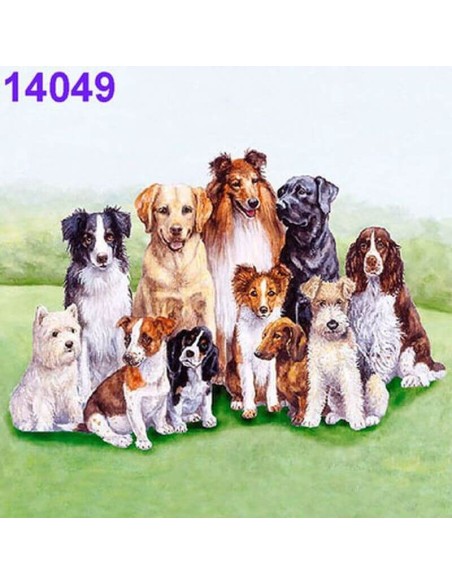 Servilletas Decoupage Perros 33x33cm 20 Uds diferentes razas