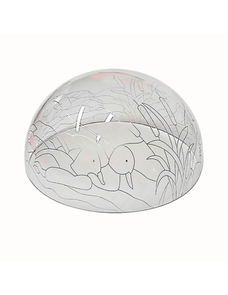 Pantalla de metacrilato transparente de 30 cm con diseño de patos en el lago para falso vitral