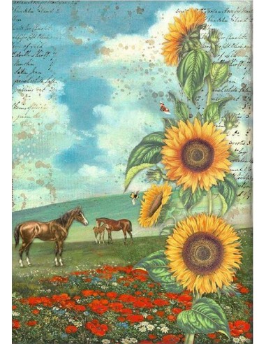 "Descubre la belleza con papel arroz Stamperia A4 Sunflower art. ¡Caballos cautivadores! 🌻🐎"