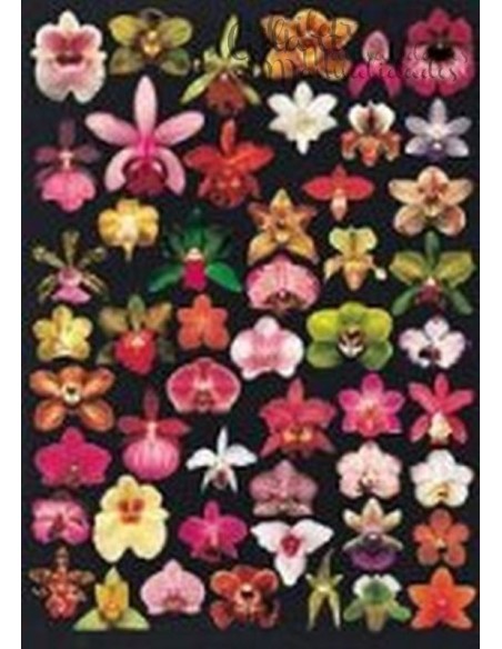 Papel decoupage Flores fondo negro 21x30. Ideal para tus creaciones de manualidades.