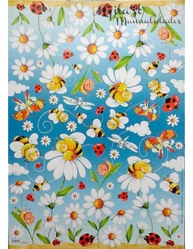 Papel decoupage Stamperia DFG268 50x70 cm para tus proyectos creativos.