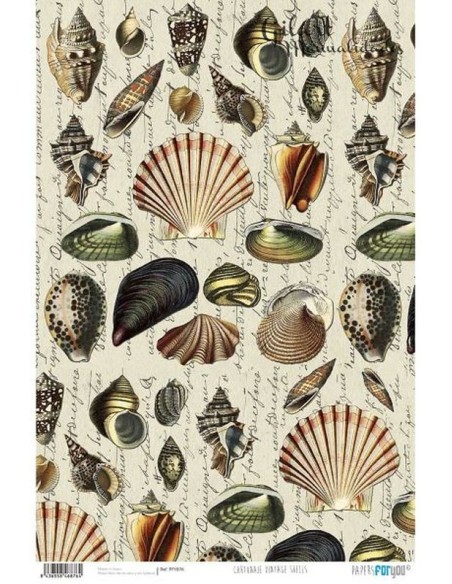 Papel For You 120 g 32x48.3 cm - Vintage Shells PFY-876 para tus creaciones.