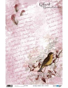 Papel Cartonaje For You 120g 32x48.3 cm Romantic brid & Feathers PFY-886 para manualidades.