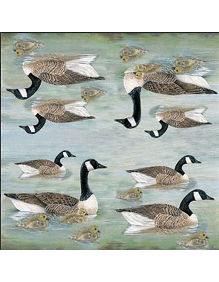 Papel de Arroz Stamperia Patos 50x50 cm, ideal para decoupage sobre cualquier superficie