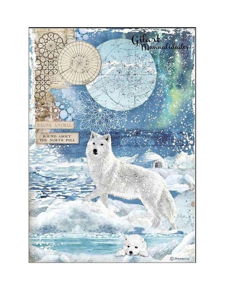 Papel arroz decoupage Stamperia Artic World Lobo Polar, ideal para decorar manualidades