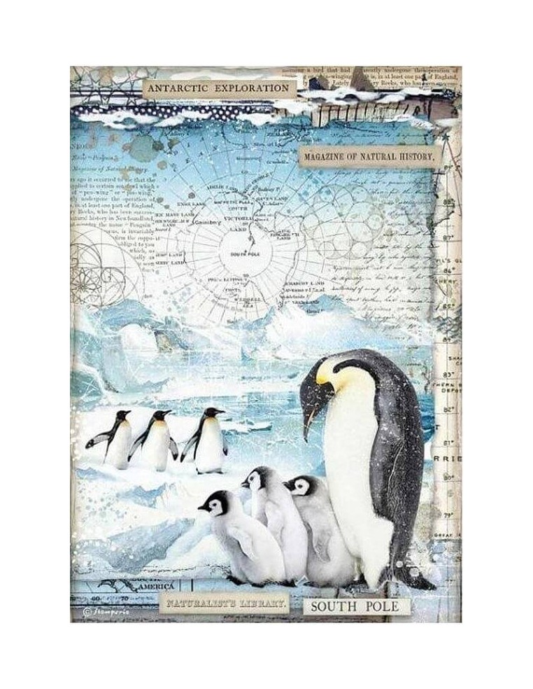 Papel arroz decoupage Stamperia Penguins DFSA4479 para manualidades divertidas