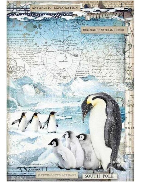 Papel arroz decoupage Stamperia Penguins DFSA4479 para manualidades divertidas Papel arroz decoupage Stamperia Penguins DFSA4479 para manualidades divertidas