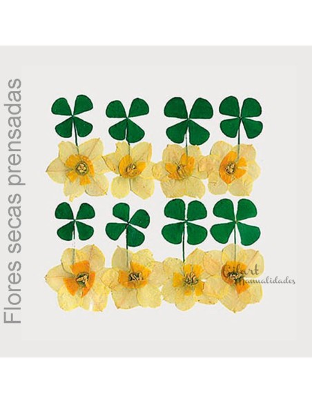 Flores secas prensadas Stamperia clfs04