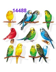 Exóticos periquitos. ¡20 servilletas para tus manualidades y decoración tropical! 🦜